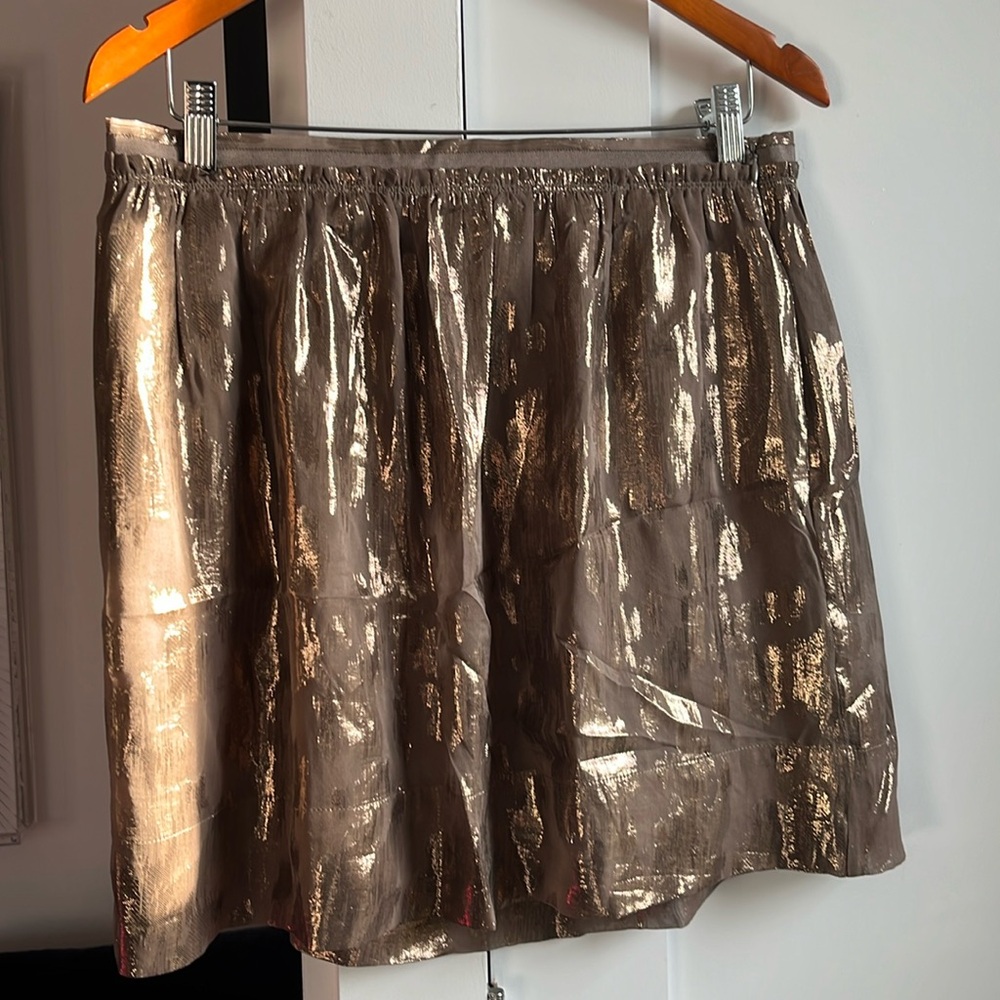 Shimmery skirt